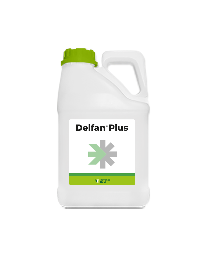 Delfan Plus