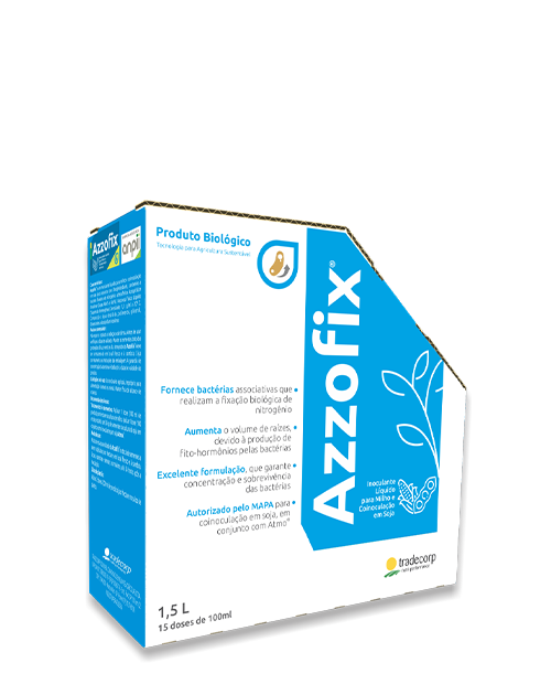 azzofix (4)