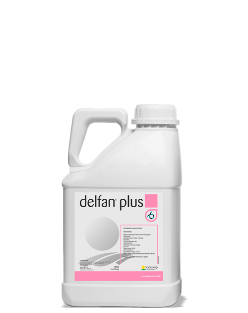 delfan-img2