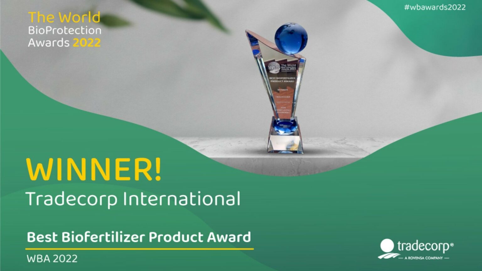 Best Biofertiliser