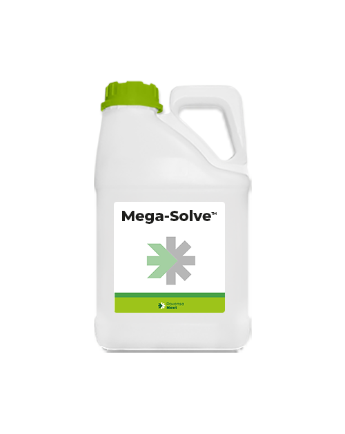 Mega-Solve