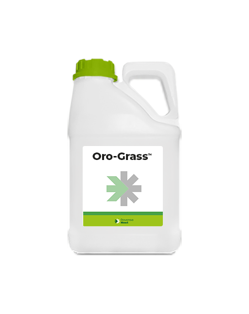 Oro-Grass