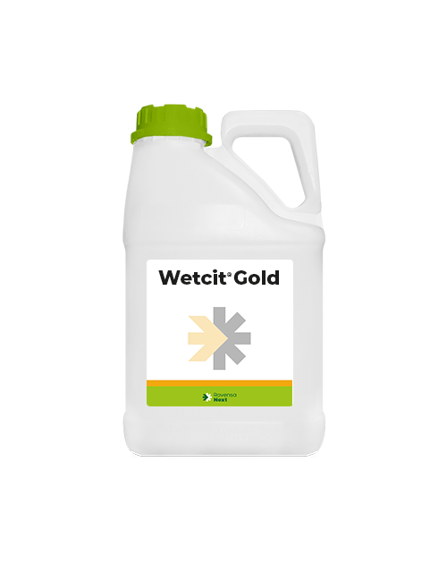 Wetcit Gold