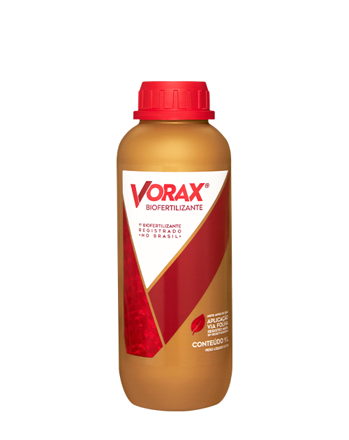 vorax_1