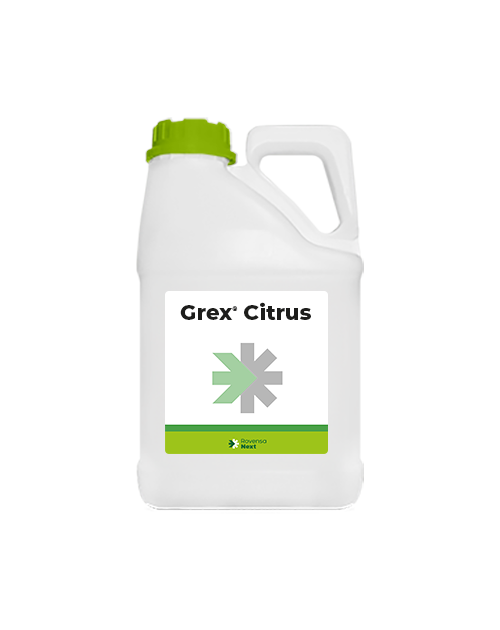 Grex Citrus