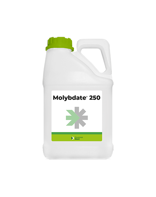 Molybdate 250