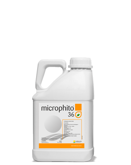 microphito36