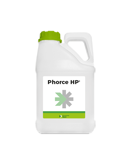 Phorce HP