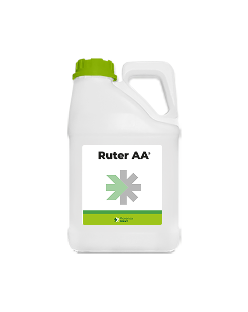 Ruter AA