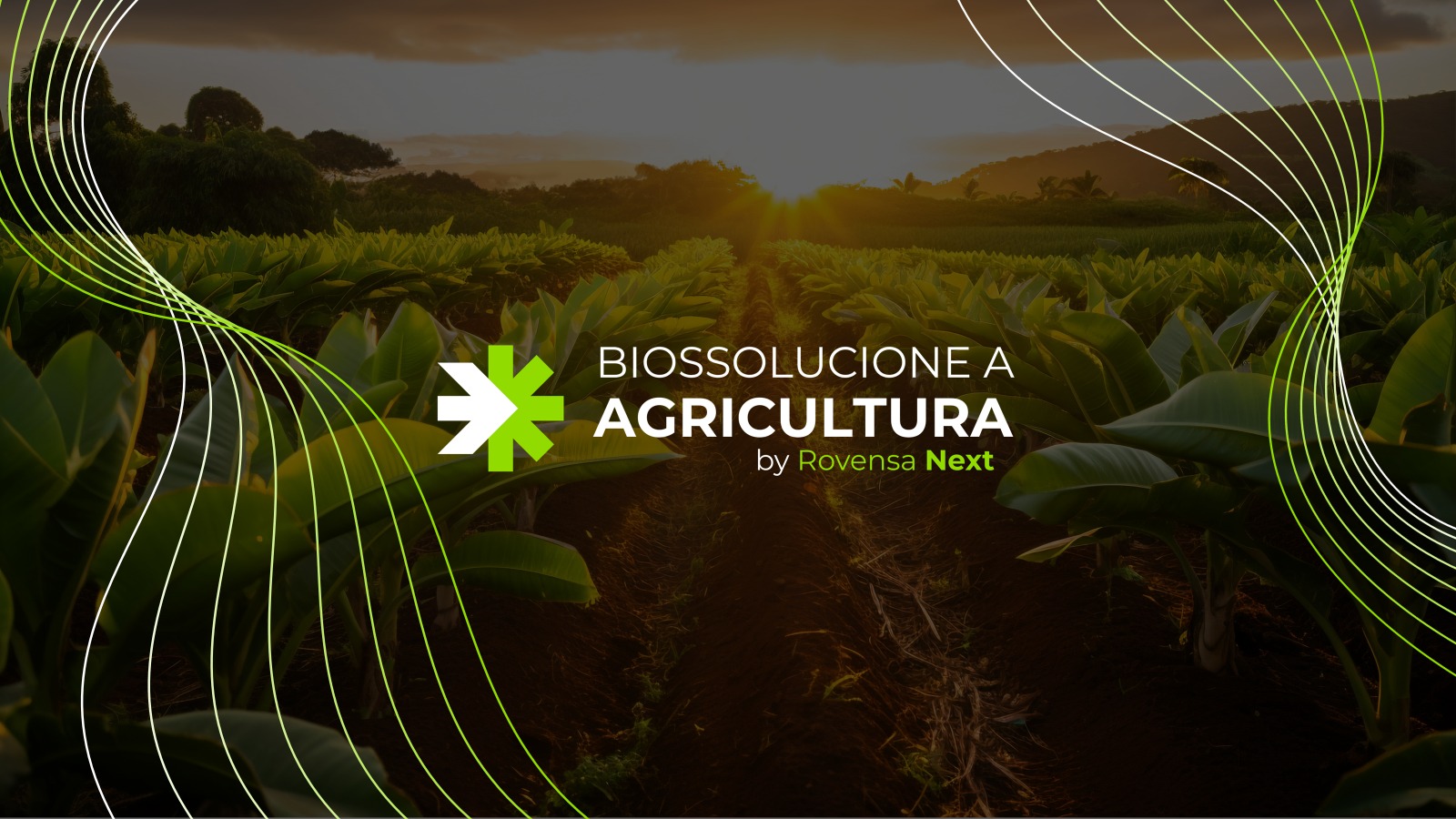 Biossolucione compactada