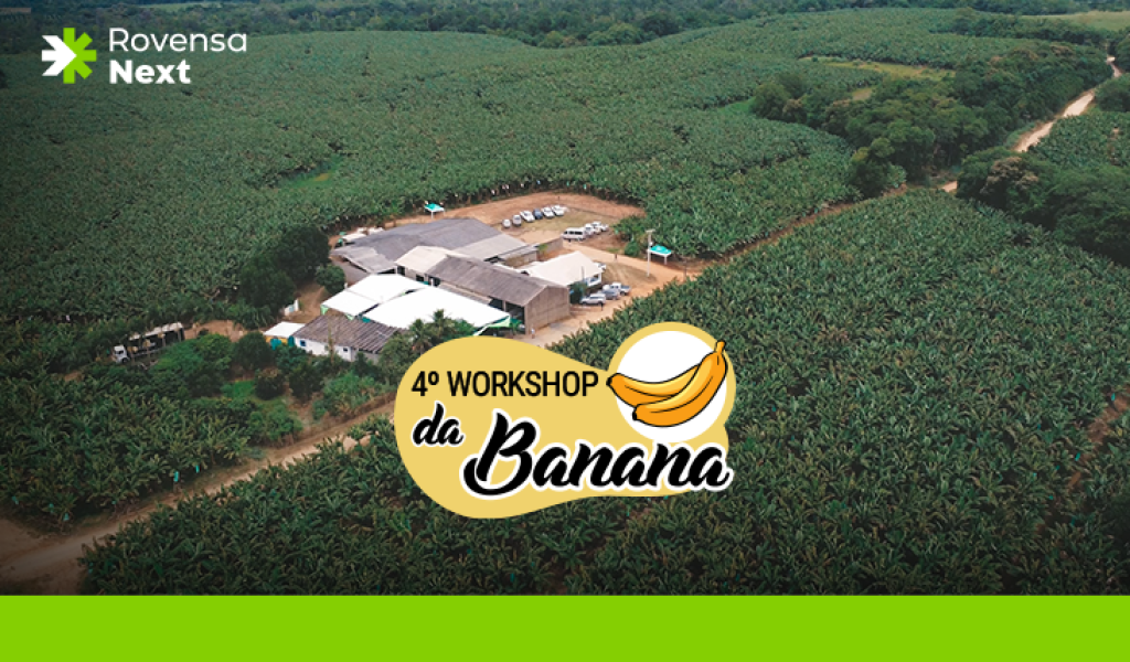 BANNER WORKSHOP BANANA 731X450
