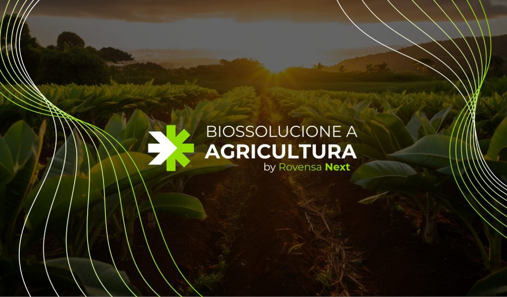 Biossolucione compactada