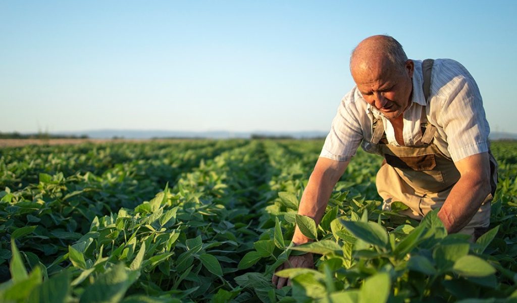 Dia do Agricultor 2025 - Rovensa Next Brasil