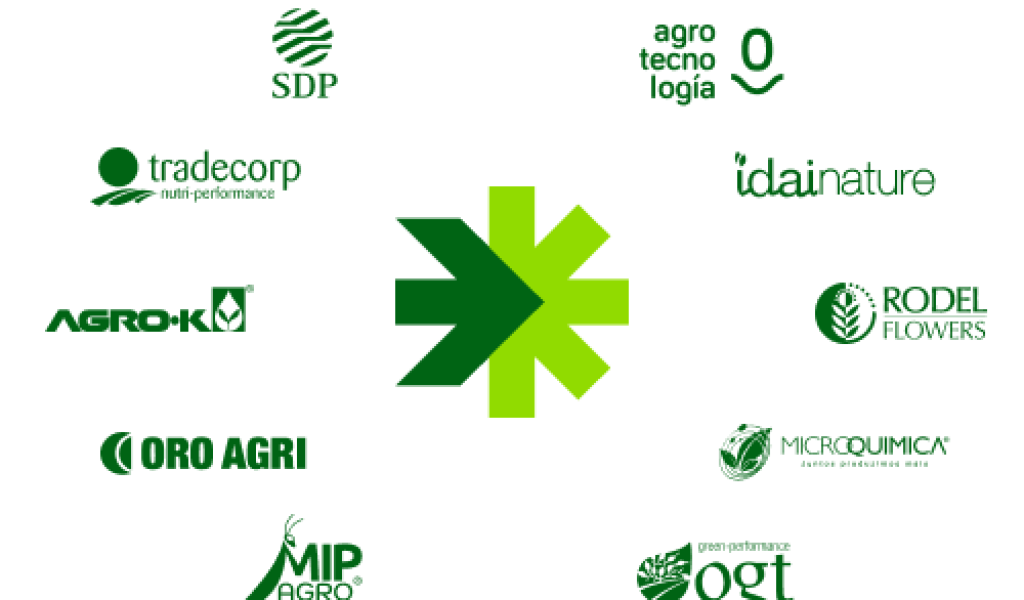 Diez marcas que se convierten en una