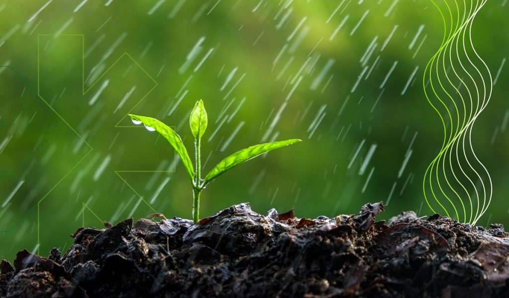 ESTRESSE ABIÓTICO COMPACTADA