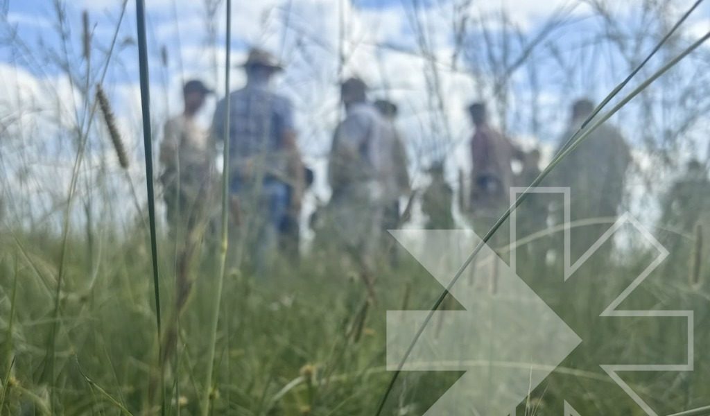 Experts on the field